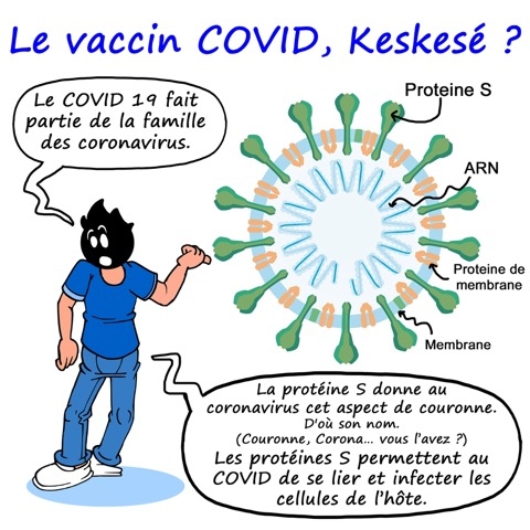 vaccin Covid, Keskesé ?